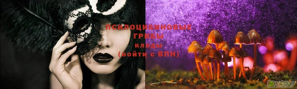 эйфоретик Абинск