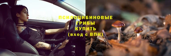 эйфоретик Абинск