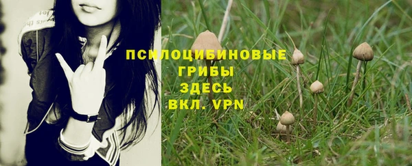 эйфоретик Абинск
